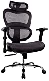 Office Chair, Ergonomics Mesh Chair Computer Chair Desk Chair High Back Chair w/Adjustable Headrest and Armrests - Black