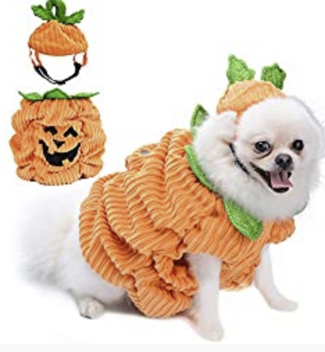 Creative Halloween Pumpkin Shirts