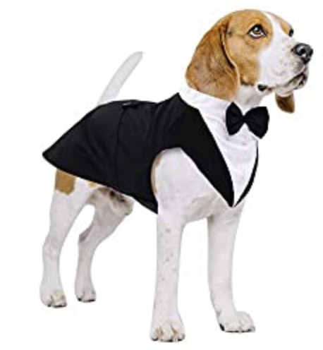 Kuoser Dog Tuxedo Dog Suit